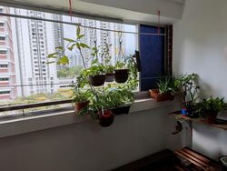 Blk 125 Kim Tian Road (Bukit Merah), HDB 4 Rooms #577117431